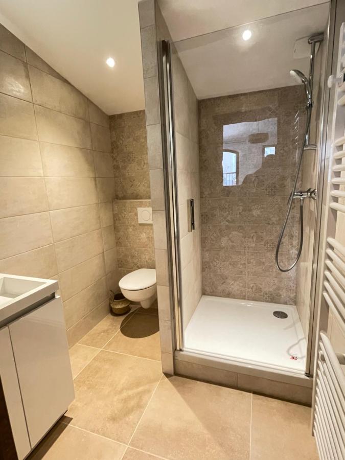 « Le 15 » Appartement De Charme 4 Personnes Моссан-лез-Альпий Экстерьер фото
